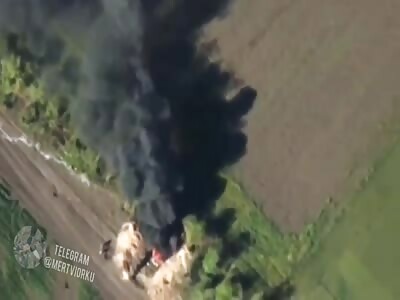 Ukrainian Artillery Destroys Orc Targets