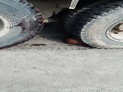 A Little Nap Under The Wheels Of A Truck