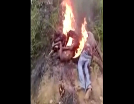 3 Men Accused Of Stealing Cattle Are Burned By Villagers