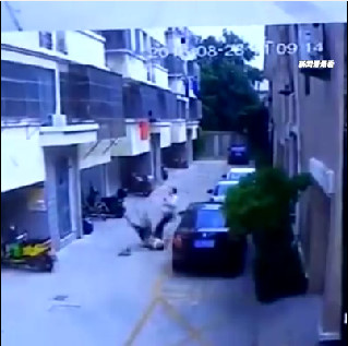 Suicidal Thrown From The Roof of a Building and Falls on a Man