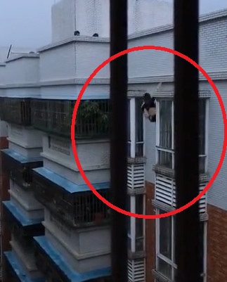 (New) Depressive Woman Commits Suicide Jumping From Her Apartment Building 