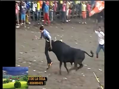 AMATEUR BULLFIGHTERS: SATISFACTION GUARANTEED OR YOUR MONEY BACK