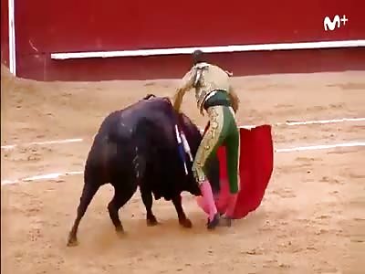 SPANISH BULLFIGHTER BEING FUCKED BY BULL