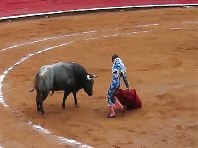 MATADOR IS GORED IN THE THIGH DURING BULLFIGHT