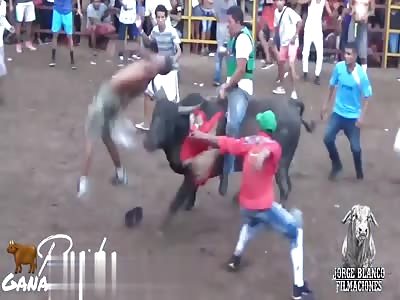 MAN IS GORED BY ANGRY BULL