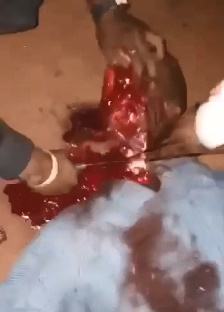 Bloody Madness From the Cameroonian Slum
