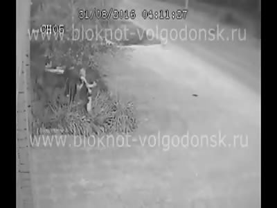 Man beaten to death by another three 