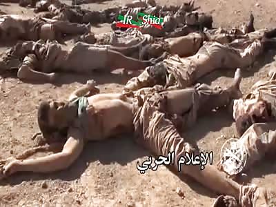 Syria - Syrian Army And NDF - Destroyed ISIS Group (23 Terrorists) 