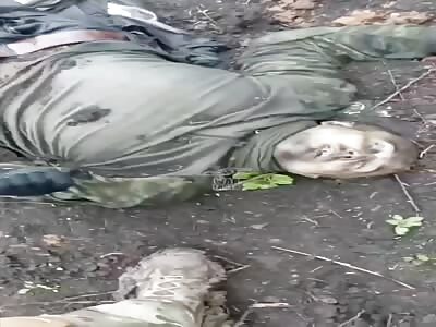 Rotten bodies of Russian soldier killed by ukranian 