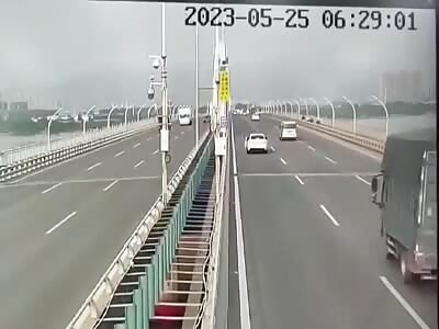 Car stops in middle of highway,the stupid driver killed on the spot 