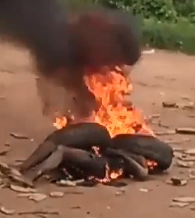 Mob Justice Served to Motorbike Thief in Rural Tanzania