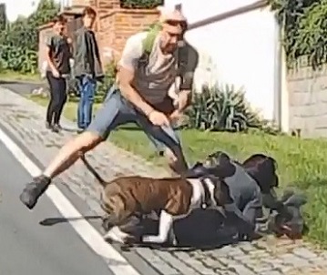 Quick Thinking Guy with a Gun Prevents Fatal Dog Attack.