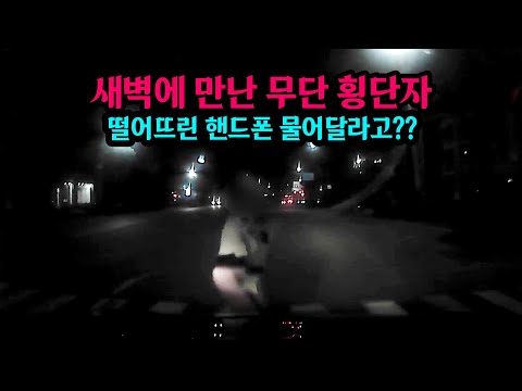 Zebra crossing Accident in South Korea 