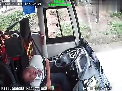  Bus driver Yang Yuzhi died live on camera in Guangdong