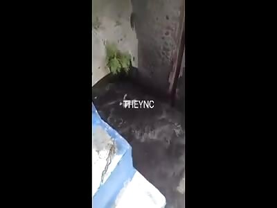 Corpse swimming in sewage