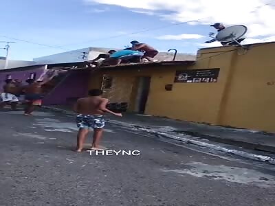 Something typical fight on the roof