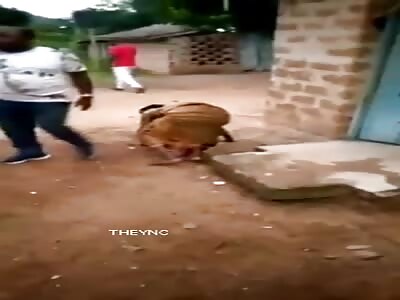 Woman beaten with her husband's box