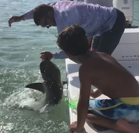 Shark Bites Fisherman who was Trying to Catch Him and Rips off Part of His Finger