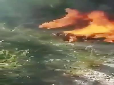 Gulf Cartel Members set ablaze 