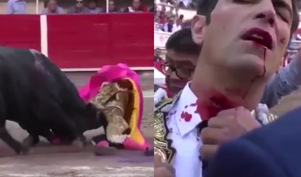 Bullfighter avoids death by just centimetres as he's gored through the neck