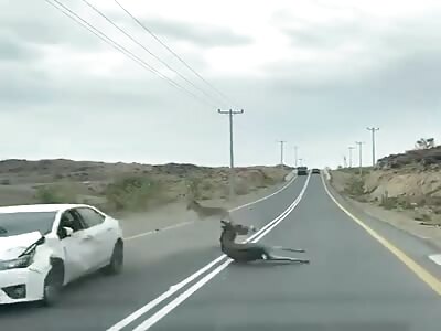 Donkey Hit Crossing The Road!