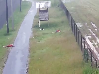 Attempt to escape prisoners ends with 23 dead in the metropolitan region of Belém