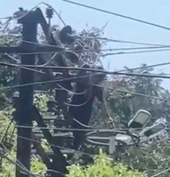 Mental Dude Gets Zapped After Climbing Electric Pole