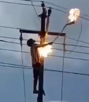 Dude Electrocuted Trying To Remove Pet Bird From Power Line