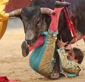 Mexican Bullfighter Arturo Gilio Is Gored by Bull In Spain