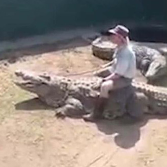  Shocking Video Shows 16ft Monster Crocodile Attacking Zookeeper During Live Show