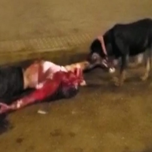 Man Brutally Mauled By Rottweiler, Left Unrecognizable