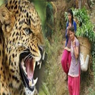 Leopard Attacks Two Woman as He Makes His Getaway