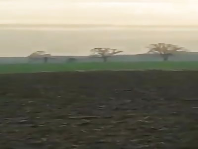 Polish Farmer views UFO