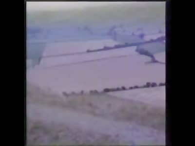 Crop Circle supposedly being made by circling Orb UFO's