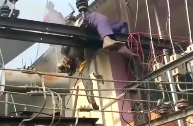 Crowd Watches As Man Roasts On Transformer