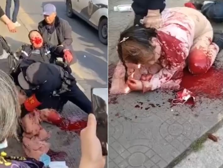 Crazy Bitch Slits Her Throat After Stabbing Bus Driver