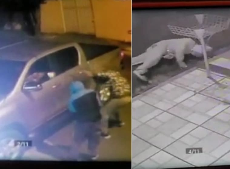 Sweet Dose Of Karma During Armed Robbery