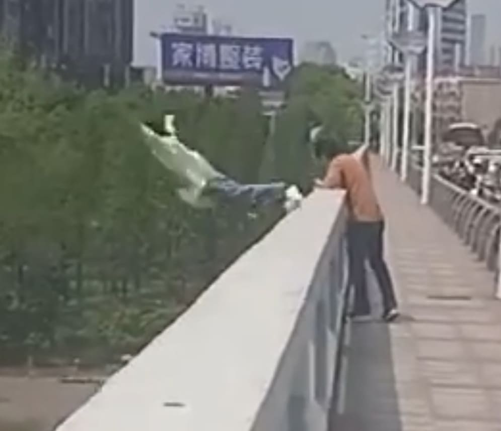 Suicidal Woman Swan Dives Off Bridge