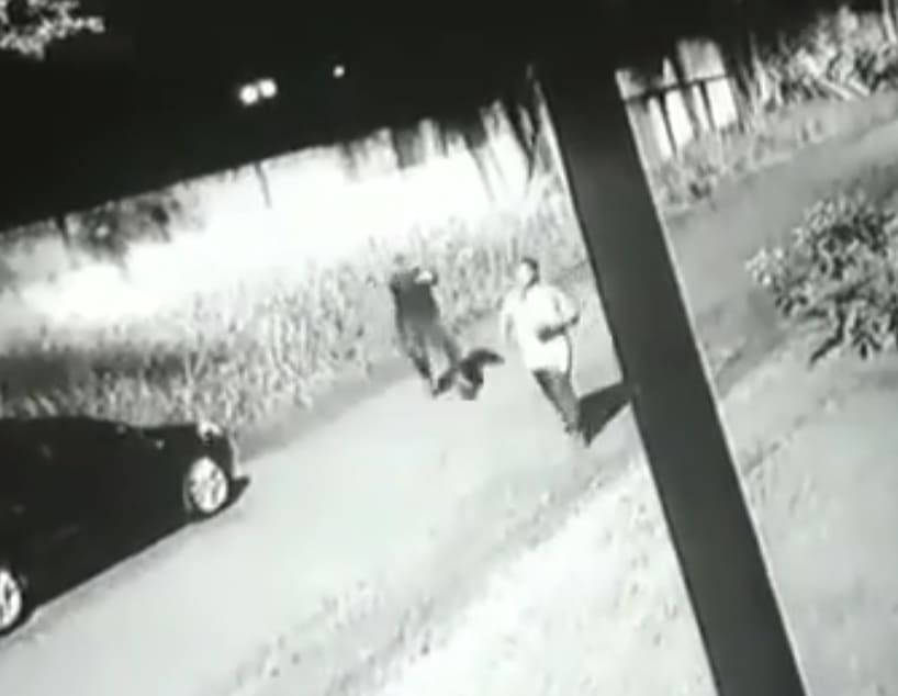 Hitman Uses Accomplice To Eliminate Target