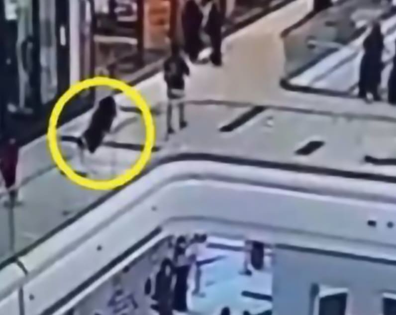 Young Woman Leaps To Her Death Inside Shopping Mall