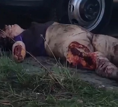 Woman Torn Apart By Pack Of Stray Dogs