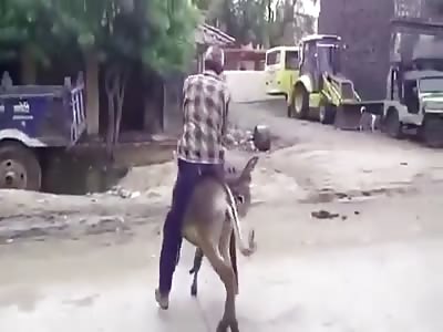 Old Pakistani man tries to ride the donkey, then donkey rides him!