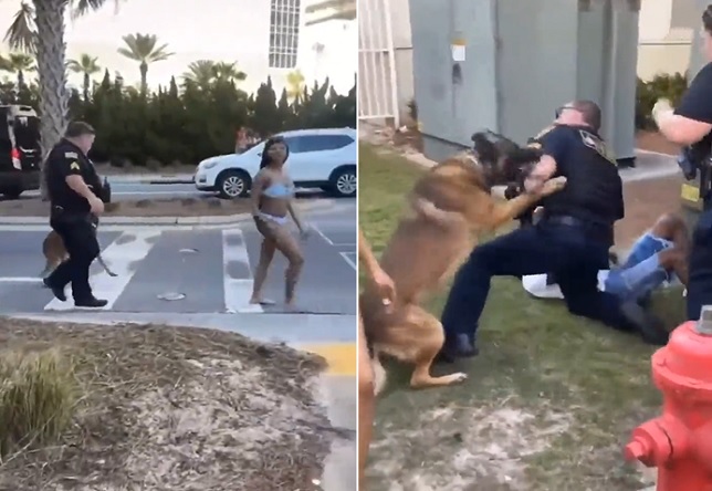 Police Dog Turns On Cop Harassing Bikini Girl