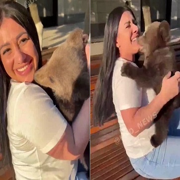 Bear Cub Bites Womans Face Off.