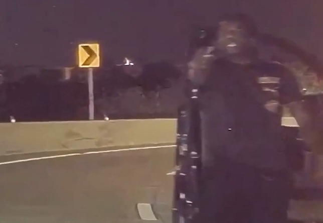 Houston Thug Shoots up a Tesla During Crazy Road Rage