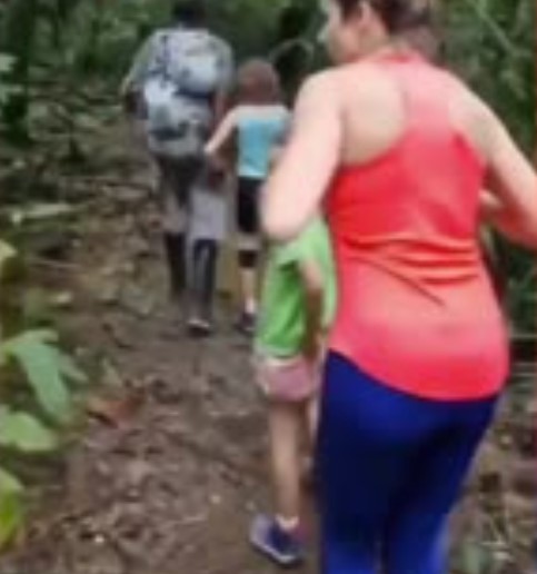Family Stalked and Attacked by Cougar in Jungle