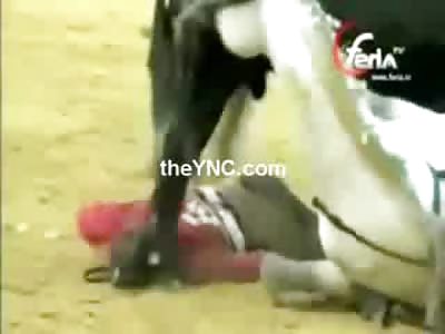 Smiling Female Bullfighter gets Blasted by a Bull as she is Thrown from her Horse 