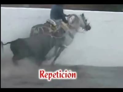 Rodeo Horse is Gored by Bull and then Executed with Pistol afterwards