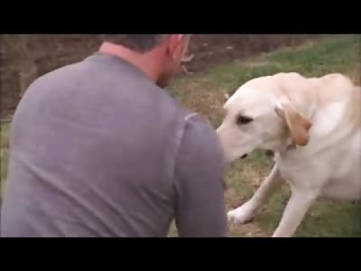 Dog Whisperer finally gets OWNED by a Bad Ass Dog