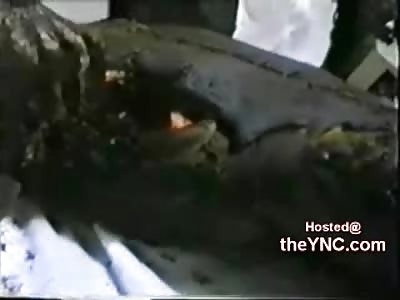 Gruesome Footage of Tortured Male and Female Civilians by the Turkish Gov't (Video is Graphic)